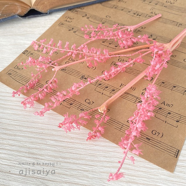 【 2026年カタログ掲載外商品 】リトルベル　ストロベリー　＜プリザーブド加工＞