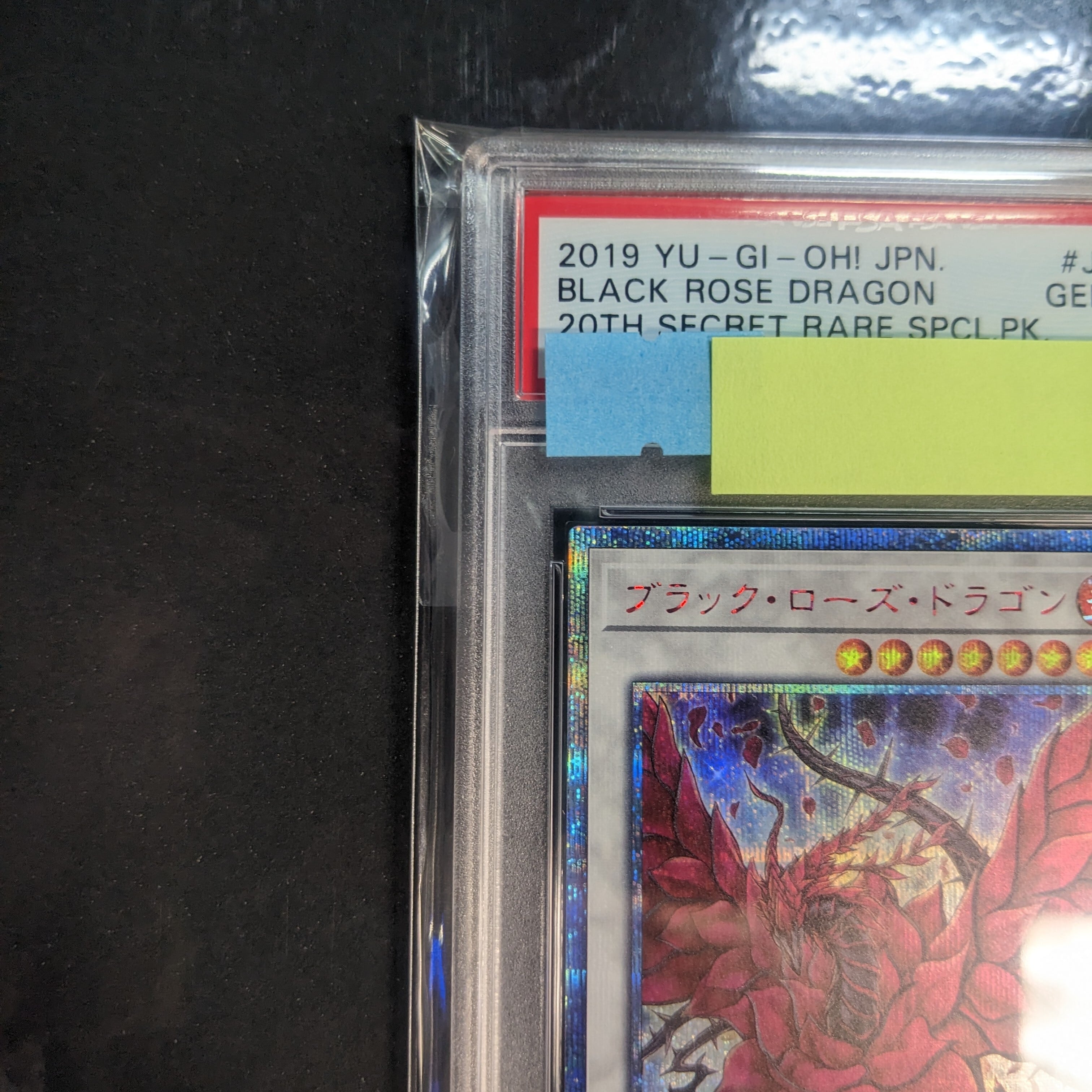 遊戯王 PSA10 ブラック・ローズ・ドラゴン 20CP-JPS05 20th