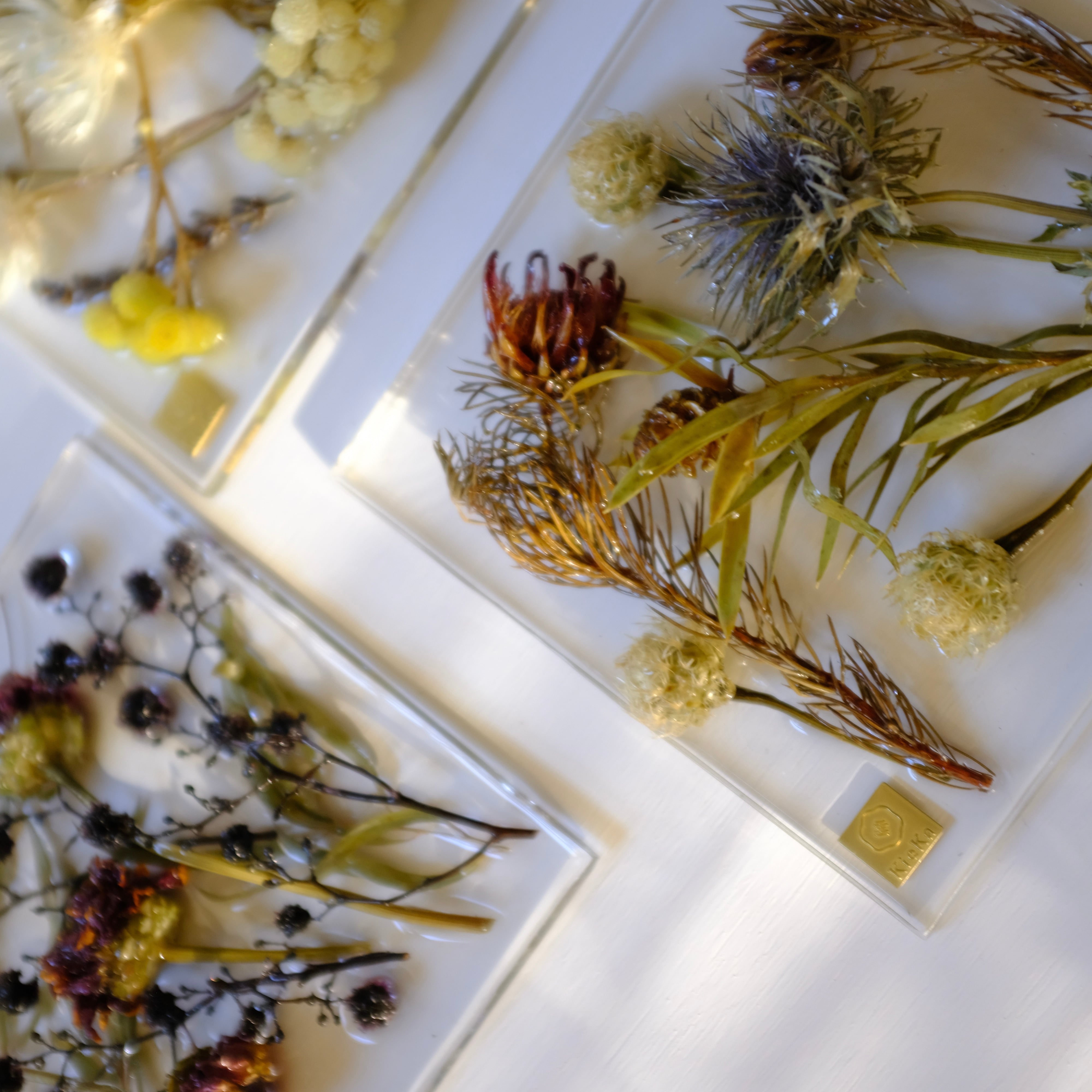 sumika dried flower square ジニアとスターリンジア | KieKa