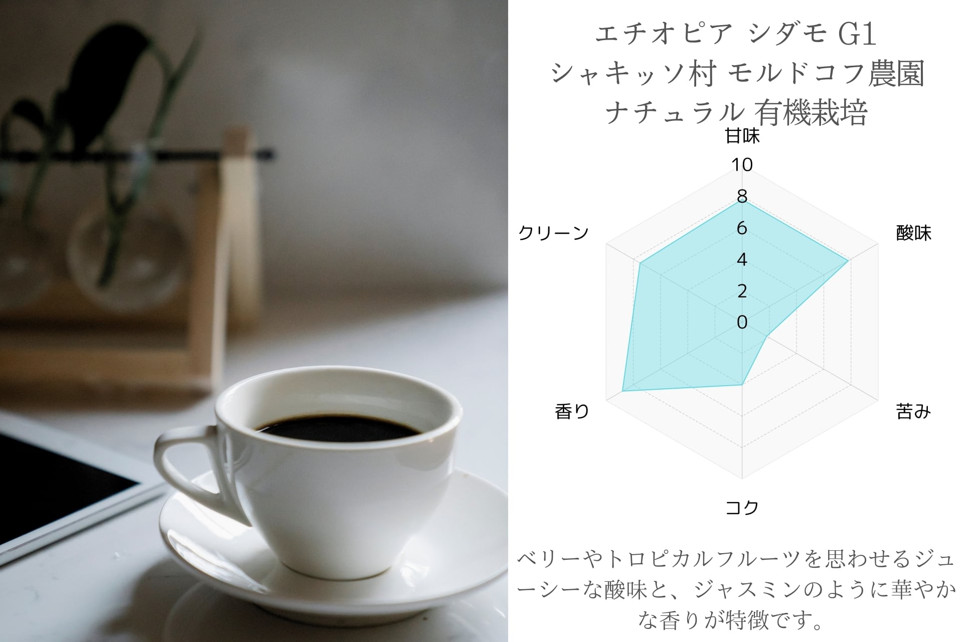 新登場／AdaptoLatte☆ アダプトラテ コーヒーブラック＋ホイッパー