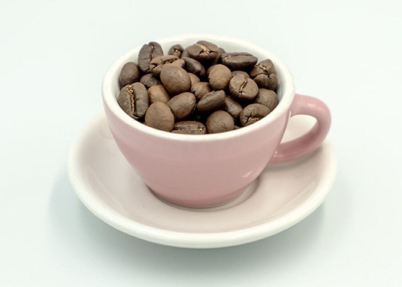 サーカスブレンド【500g】
