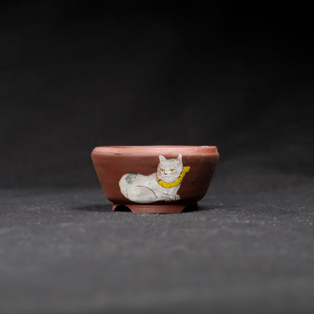 Q鉢 | bonsaiQ store