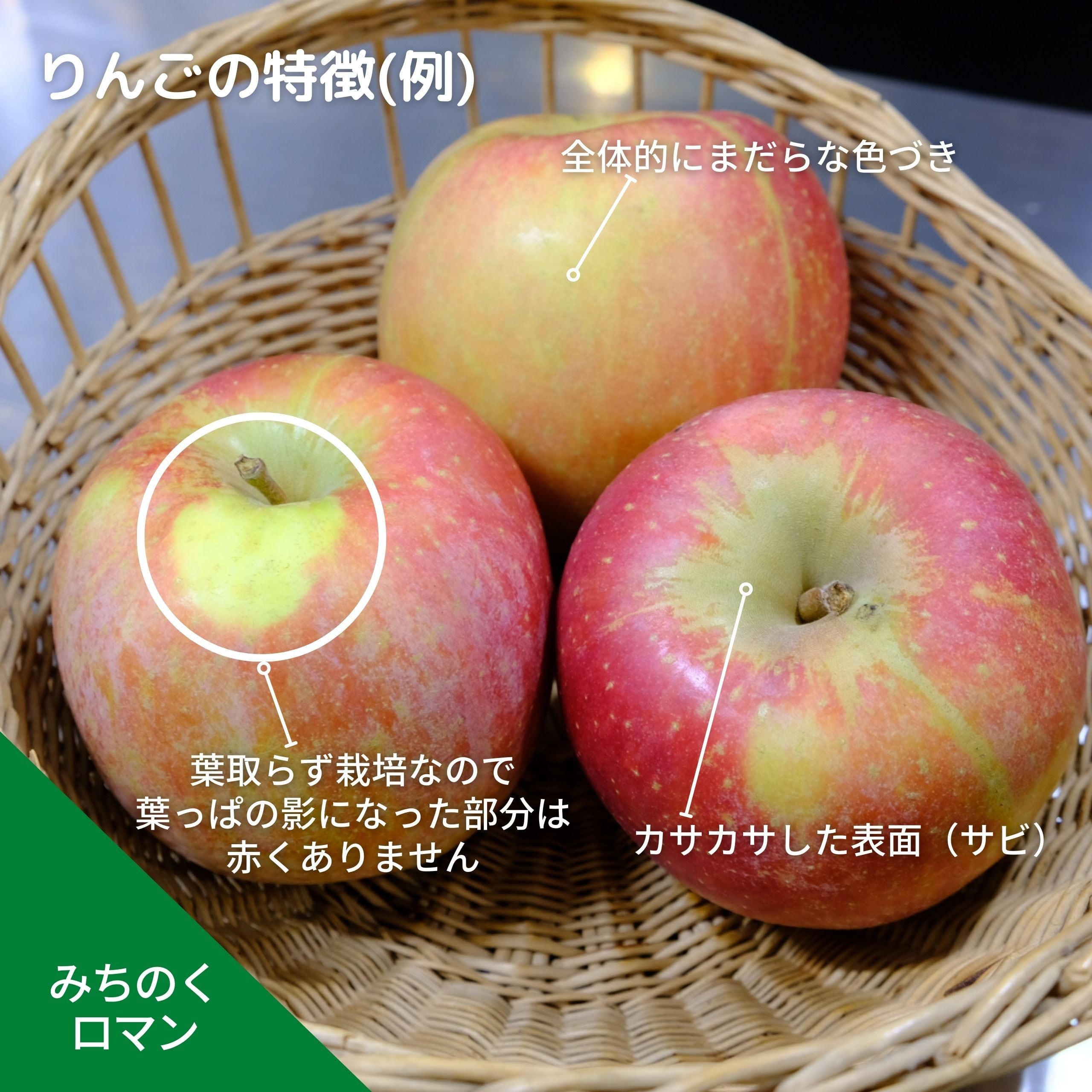 みずみずしい果汁でジューシーなりんご「みちのくロマン」（岩手県産