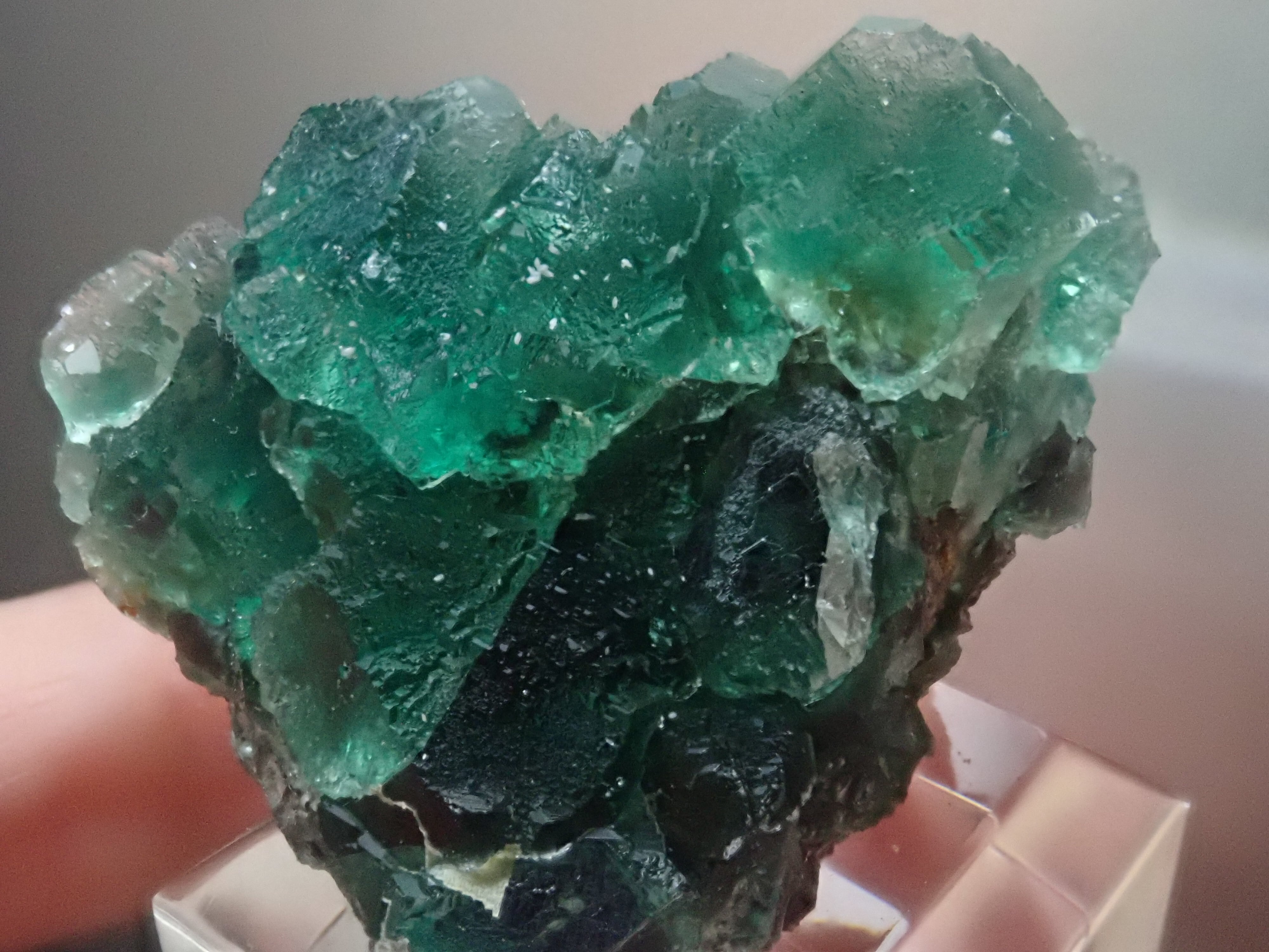 AfricanEmeraldPocket】オコルス鉱山 フローライト 蛍石 原石 標本