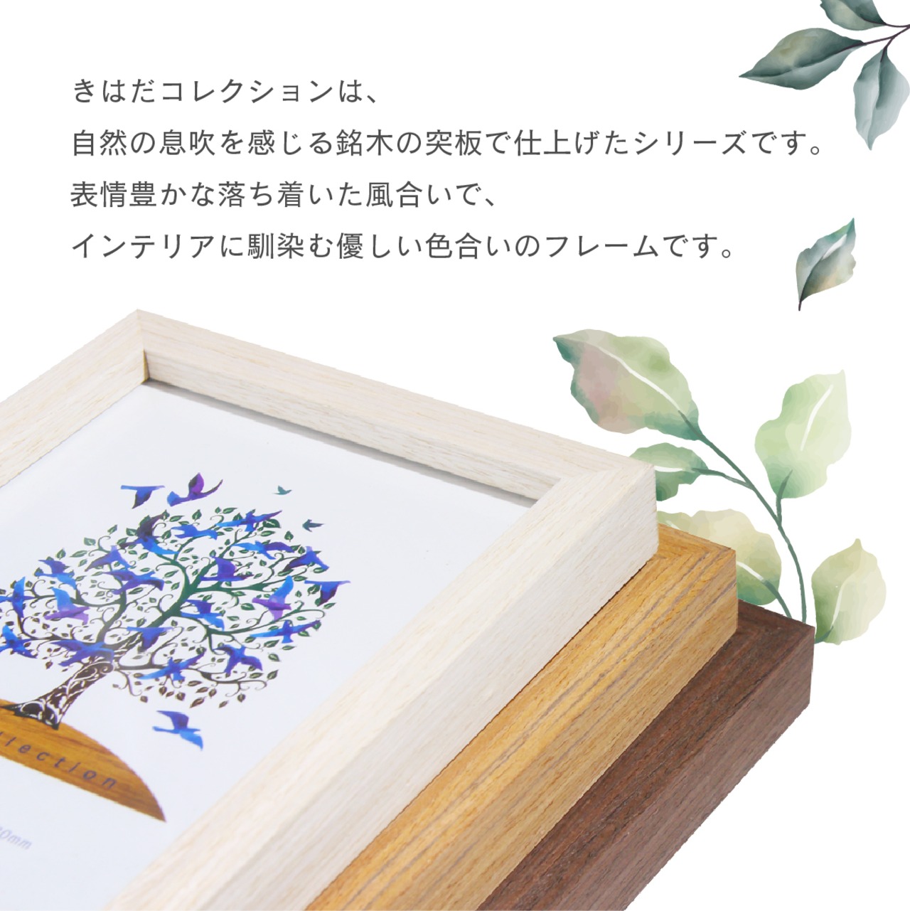 天然木フォトフレーム KIHADA [2L] 130×180mm 木製 卓上写真立て ポスターフレーム ナチュラル 額縁 くすみカラー 北欧 ホワイト オーク ブラウン AR-KHD-S-2L - 3