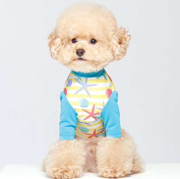 【SALE】STARラッシュガード UVカット S ~ XL 2color  /  犬の服 犬用 水着 ドッグウェア 犬服 夏 お出かけ