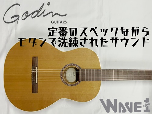 【Godin】Concert