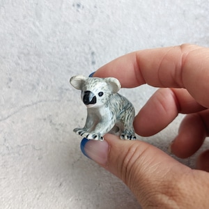 【charm】Koala