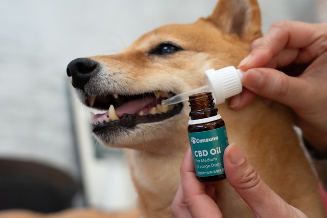 CBDオイル 中大型犬用 | 5,830円（税別）