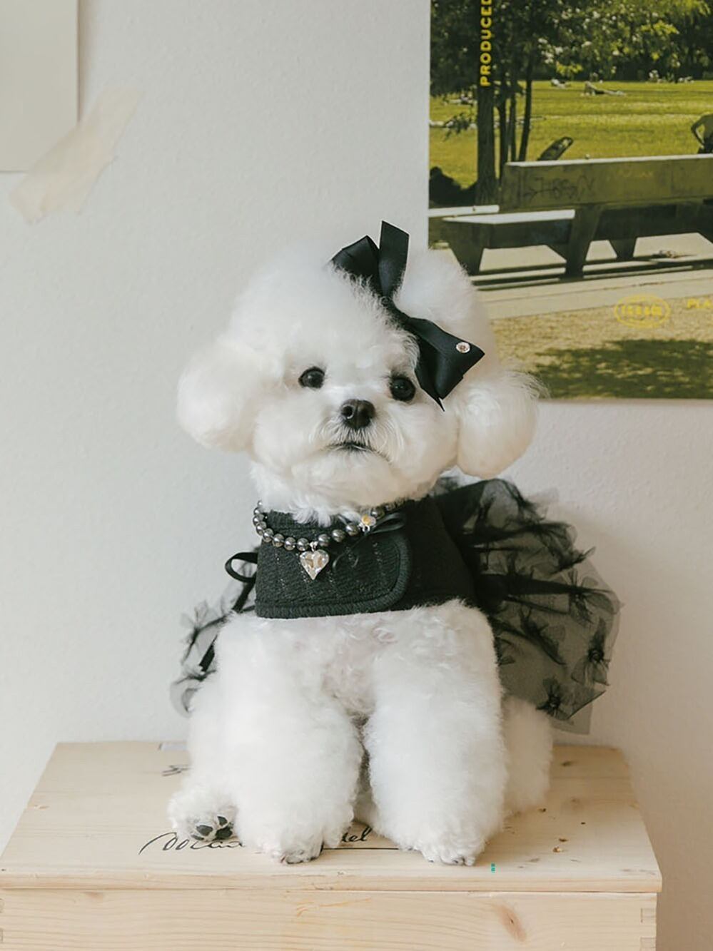 【即納】Rose Harness 《Black》 / HAUL