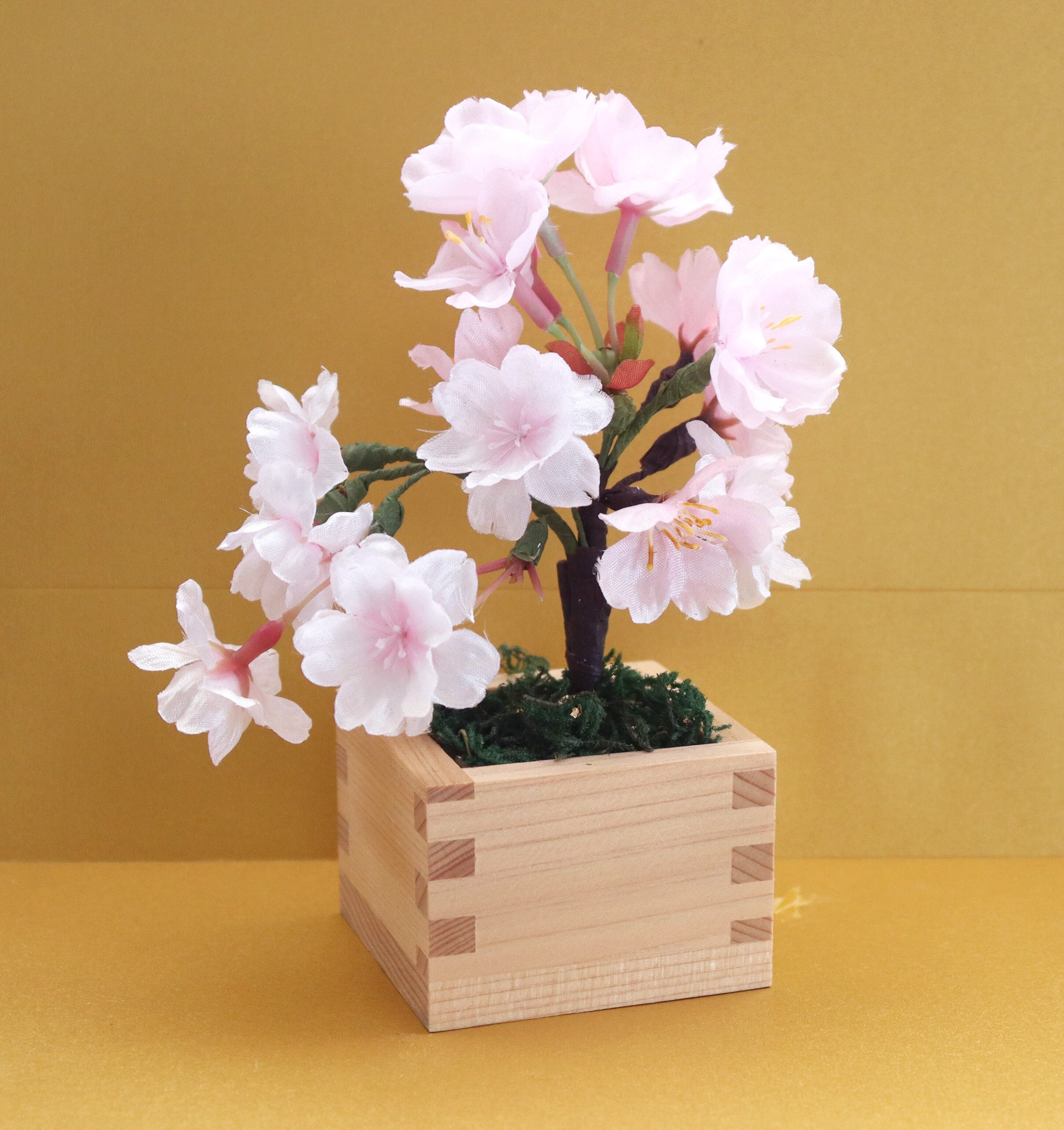ミニ盆栽 松 | hanaル・ブラン 神戸からお届けします。