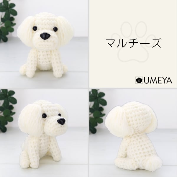 ★送料無料★あみぐるみマルチーズ あみぐるみ／マルチーズ | UMEYA公式オンラインショップ