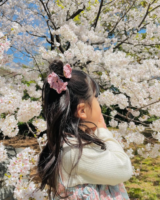 Sakura Snap Clip