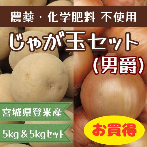 じゃが玉セット(男爵)