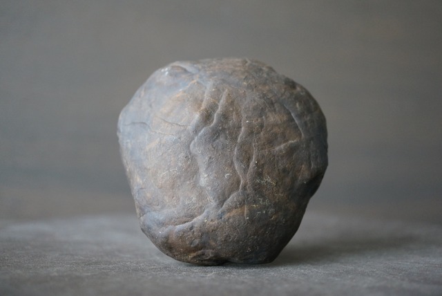 セプタリアン　Septarian　1121