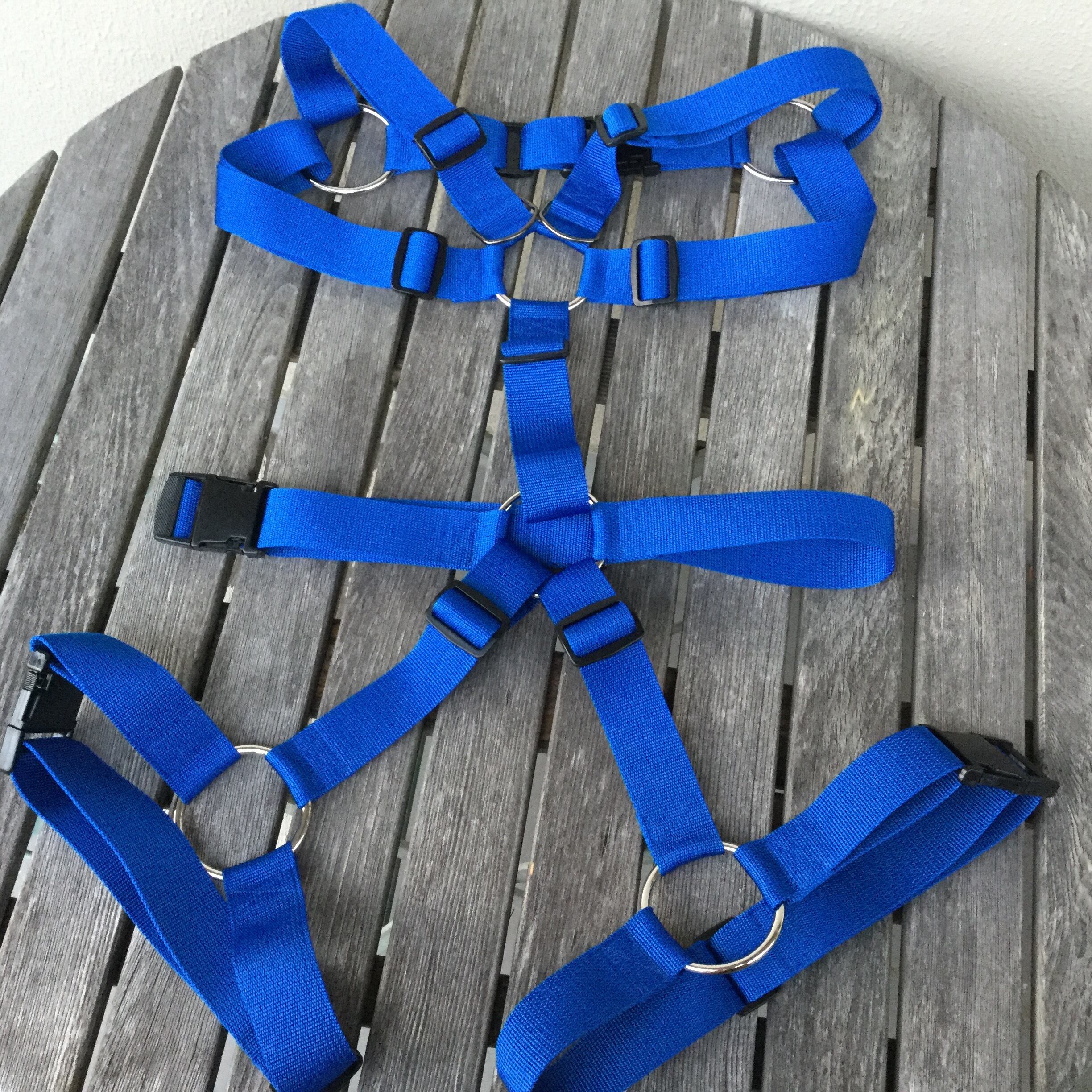 フルハーネス 青 40mm幅
