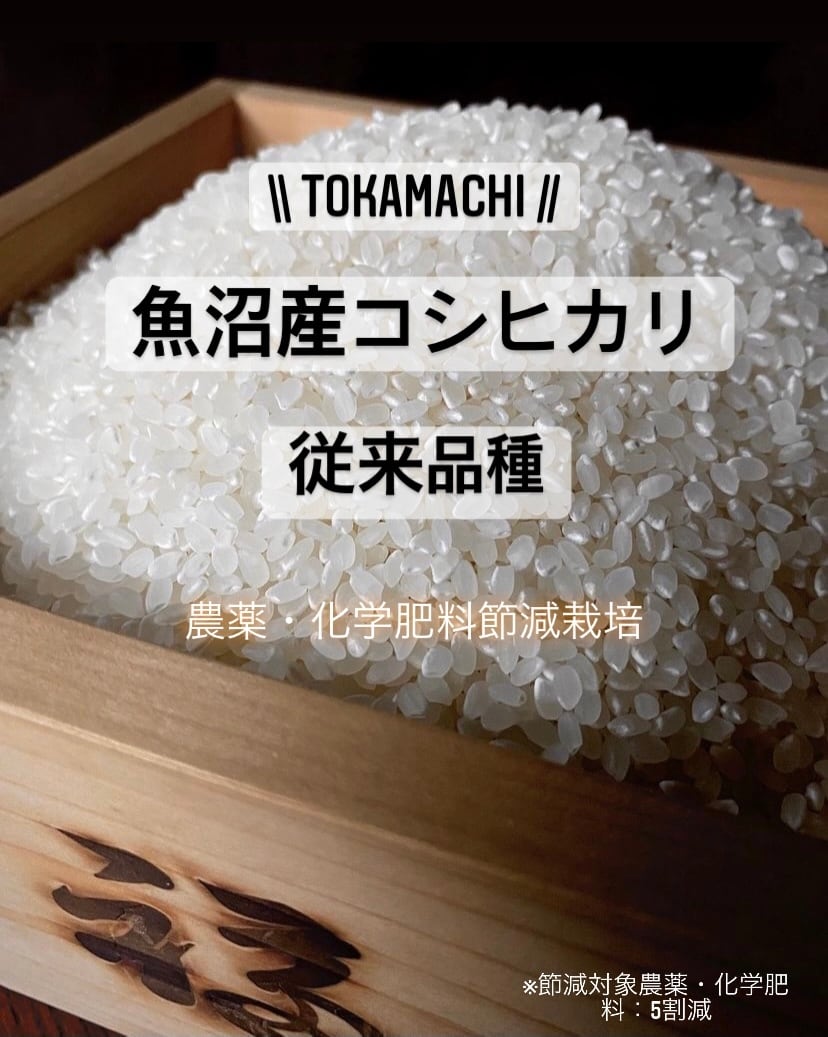 コシヒカリ　10kg　平成30年産　お米