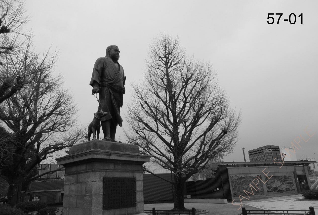 シリーズ 墨東歳時記57 〜上野恩賜公園〜 <フォトカード・バラ売り>