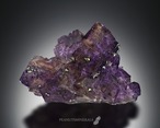 キャルコパイライト / フローライト / カルサイト【Chalcopyrite in Fluorite with Calcite】アメリカ産