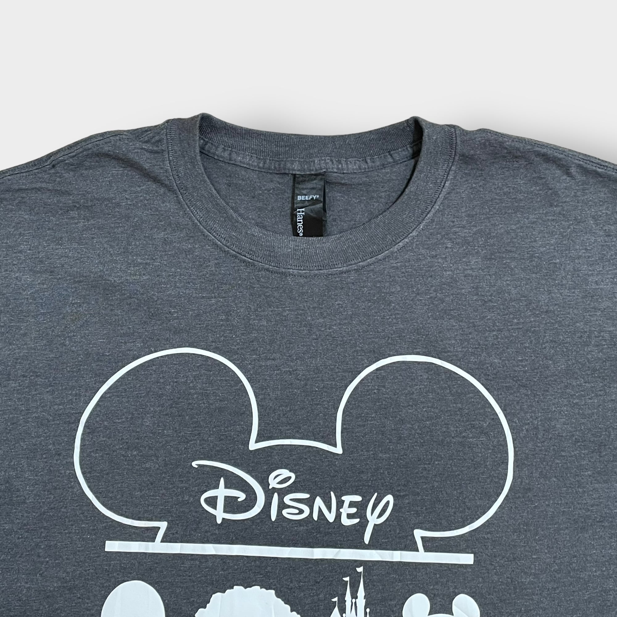 HANES】Disney Family Vacation ロゴ プリント Tシャツ 2XL ビッグ ...