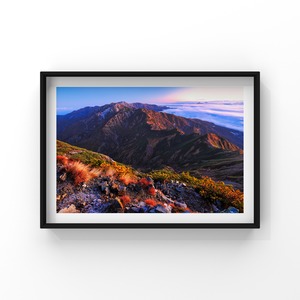 夜明けを待ち侘びて