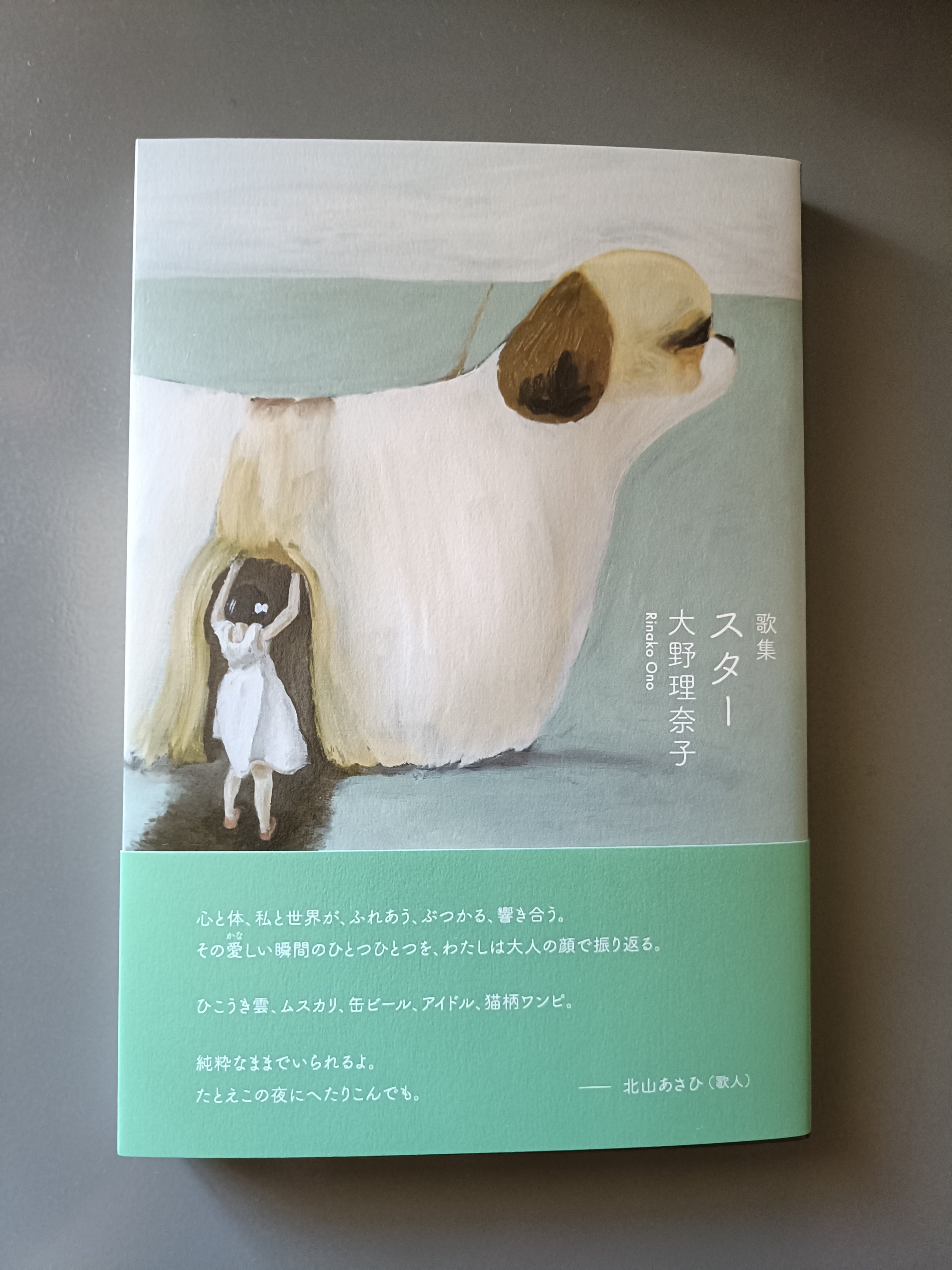 大滝和子『「銀河を産んだように」などIIIIII歌集』 | がたんごとん