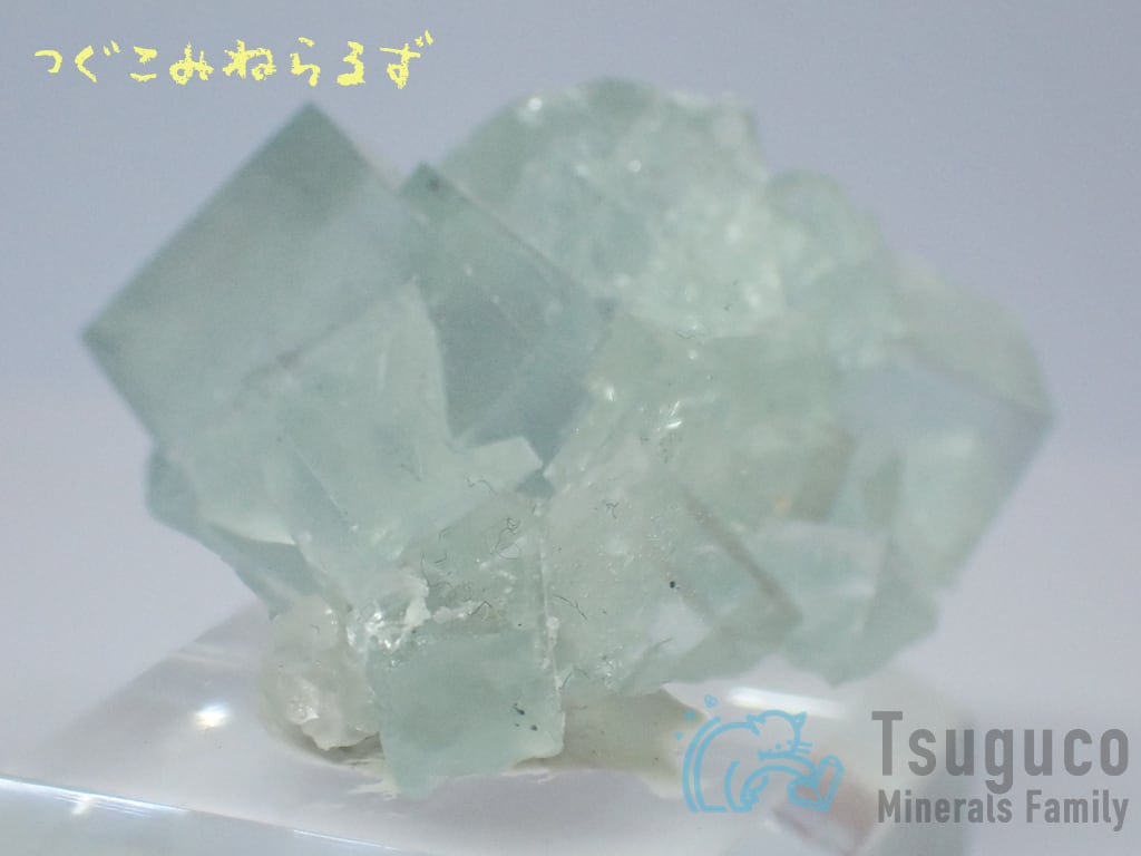 フローライト 蛍石 Fluorite フランス TM-0043
