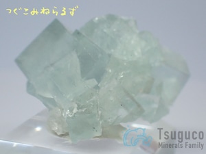 フローライト 蛍石 Fluorite フランス TM-0043