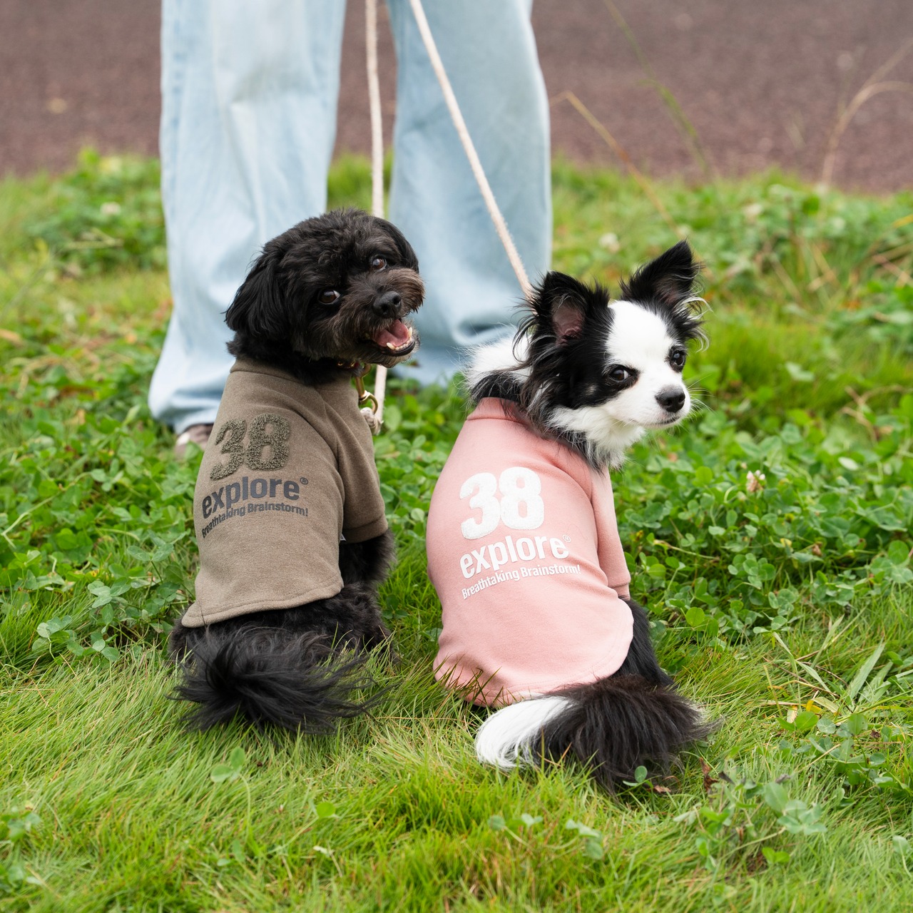38DOG LOGO EMBROIDERY TEE / KAHKI
