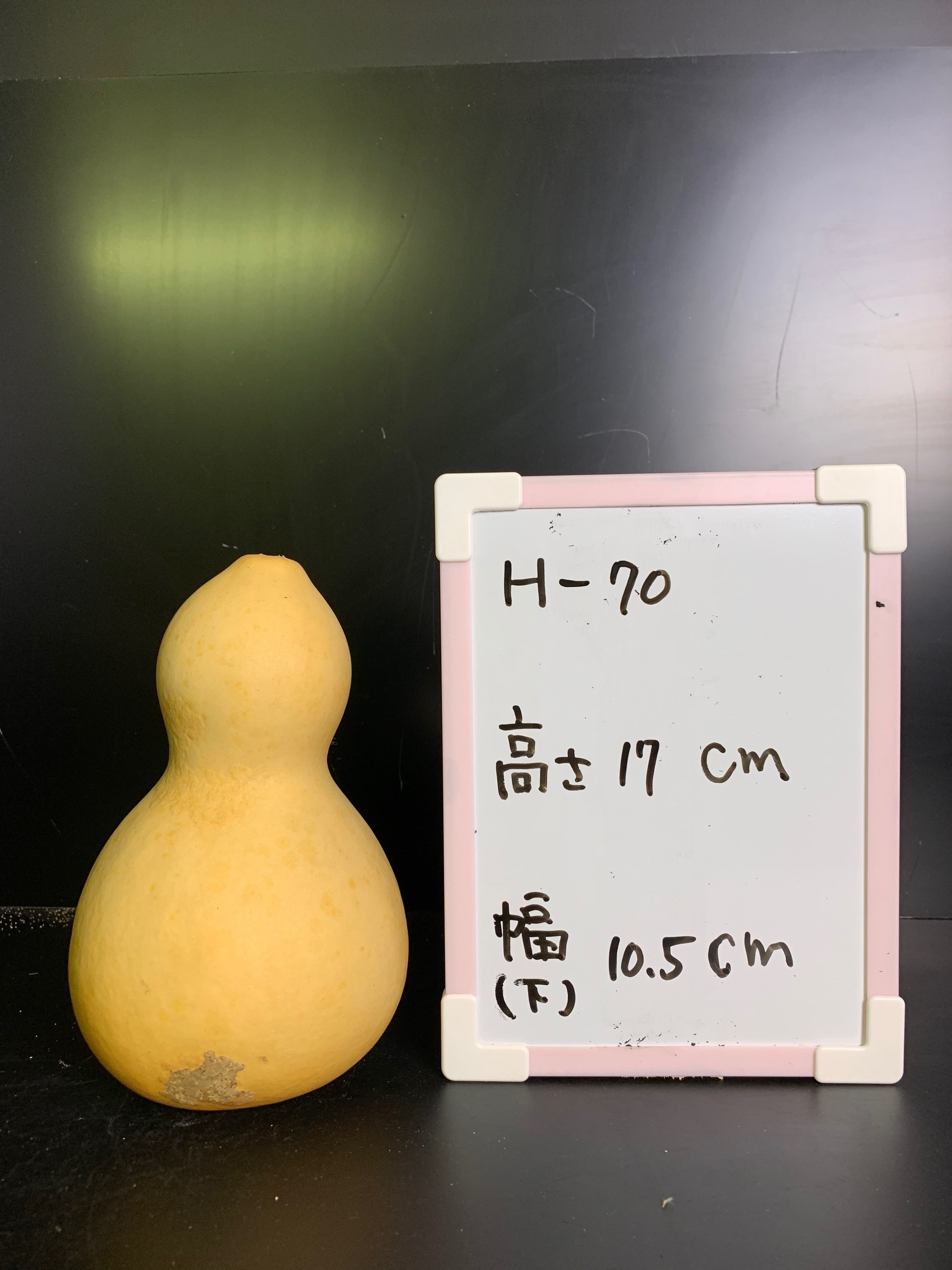 国産 ひょうたん [瓢箪] H-70 乾燥済 加工 ランプ 素材用に