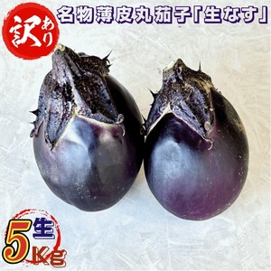 野菜 訳あり 山形県飯豊町産 名物薄皮丸茄子 生 ５Kg /袋 産地直送 送料無料