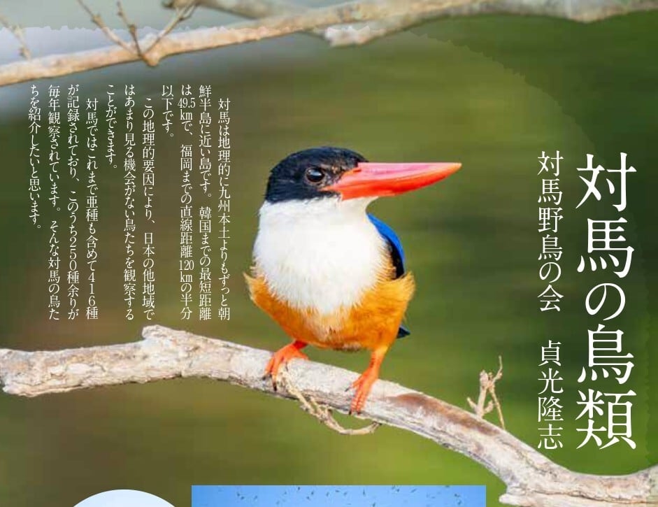 対馬自然観（対馬博物館R8年度特別展図録） | 北九州・魚部