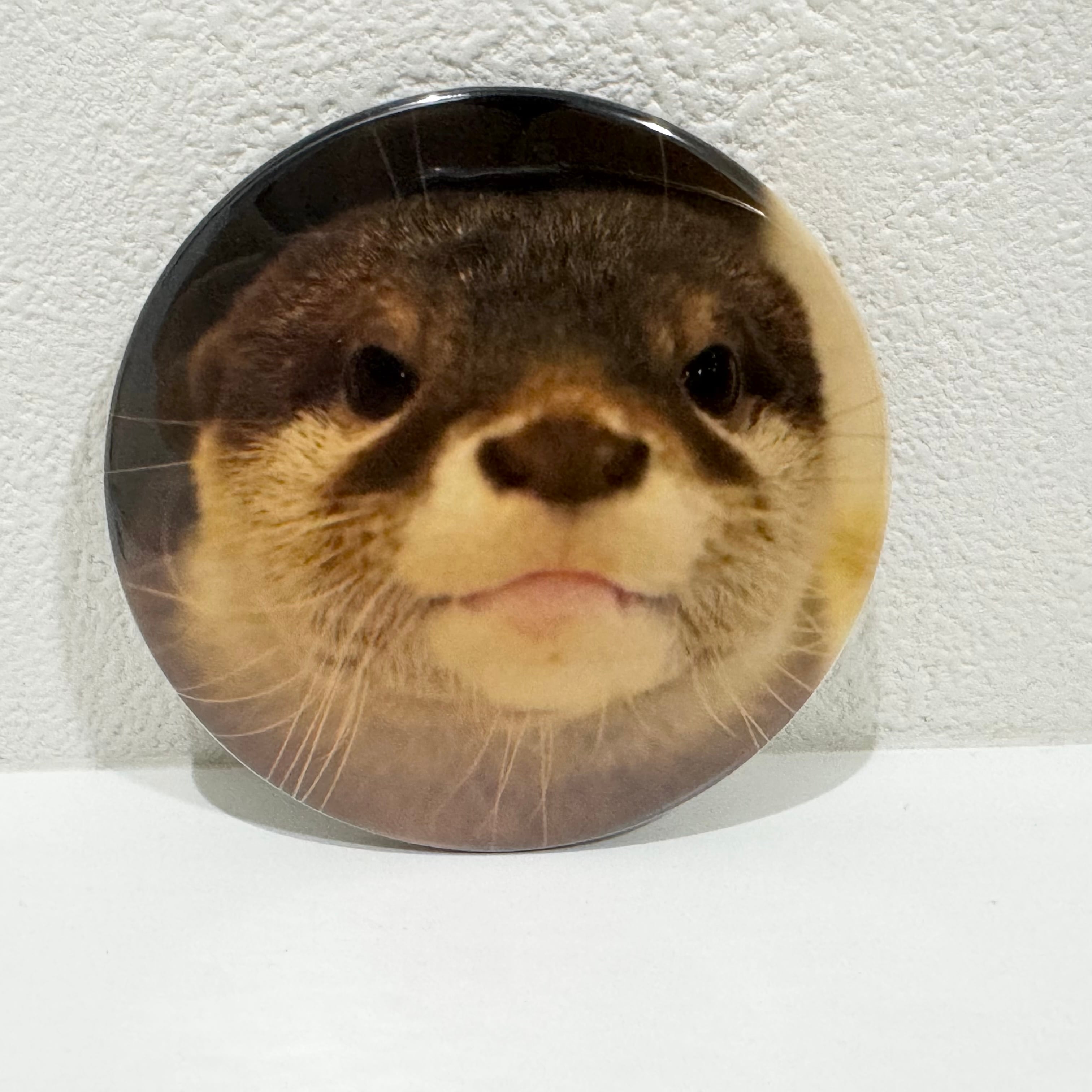 LOUTRE〜カワウソと過ごす時間〜