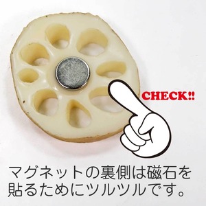 食べちゃいそうな れんこん 輪切り 食品サンプル マグネット