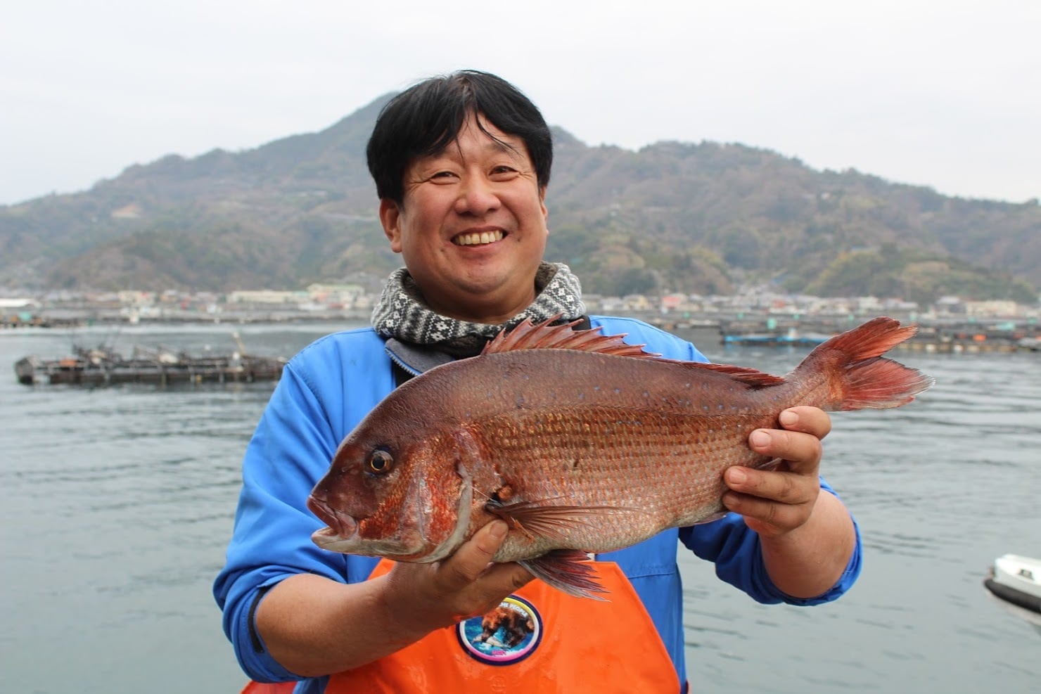 ほのかに柑橘の香り「みかん鯛」丸ごと1尾・冷蔵 | 宇和島プロジェクト