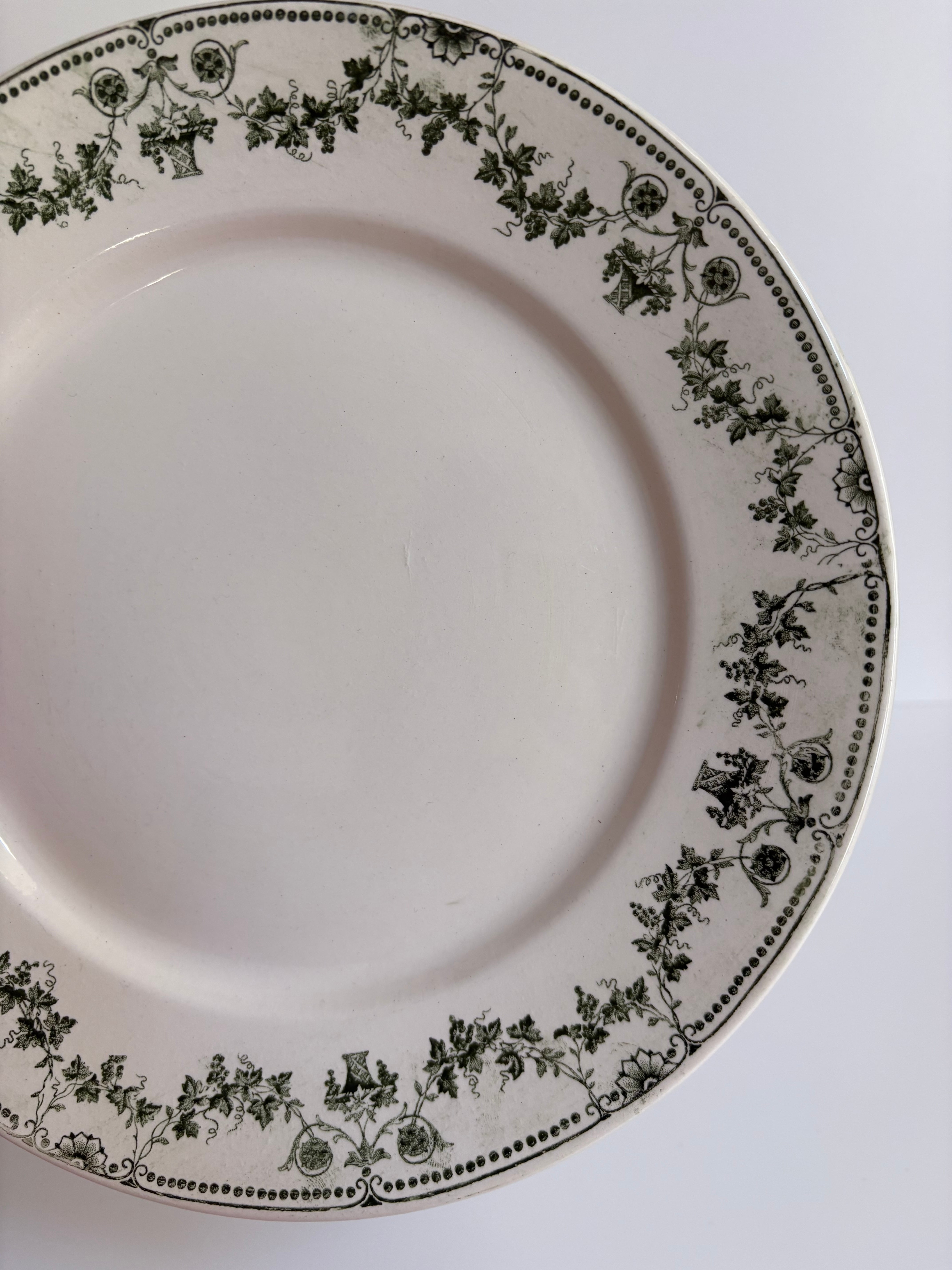 バドンヴィレ CHAMPAGNE（シャンパーニュ）ディナープレート（葡萄と