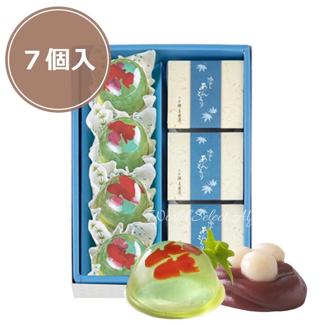 【送料無料】宗家 源吉兆庵　金魚詰合せ　小