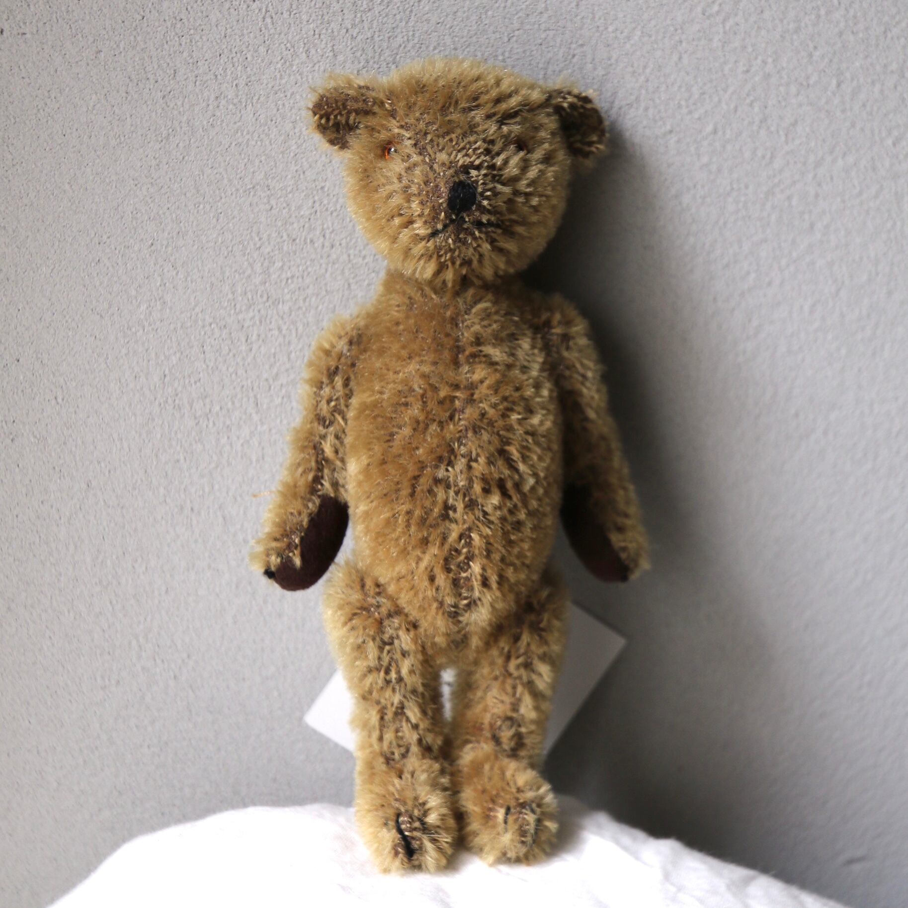 The Dandelion Press Bear 外間宏政 テディベア 24-28【 ストレート