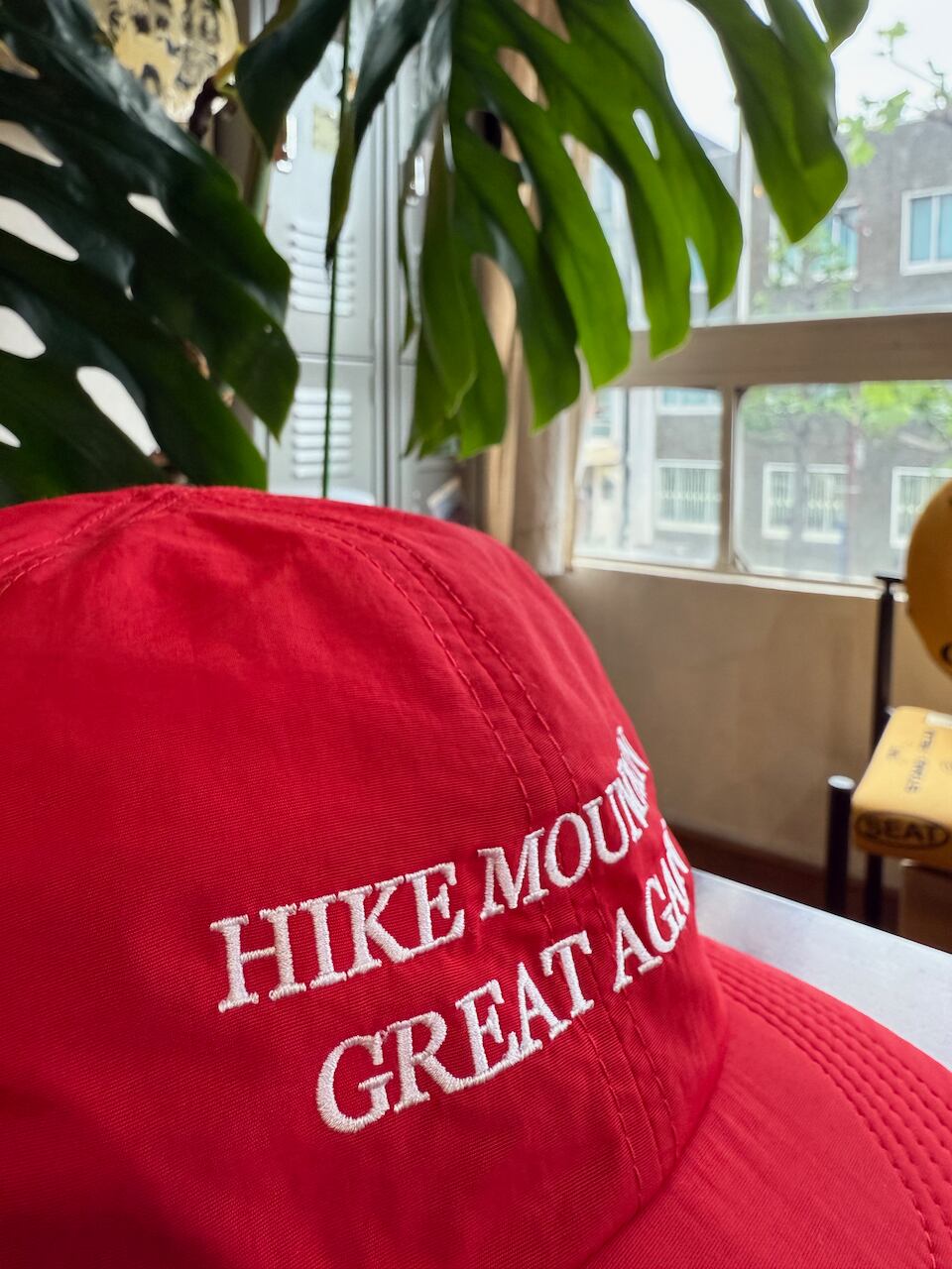 SAVE SHOCK / HIKE MOUNTAIN GREAT AGAIN CAP | PAY ID