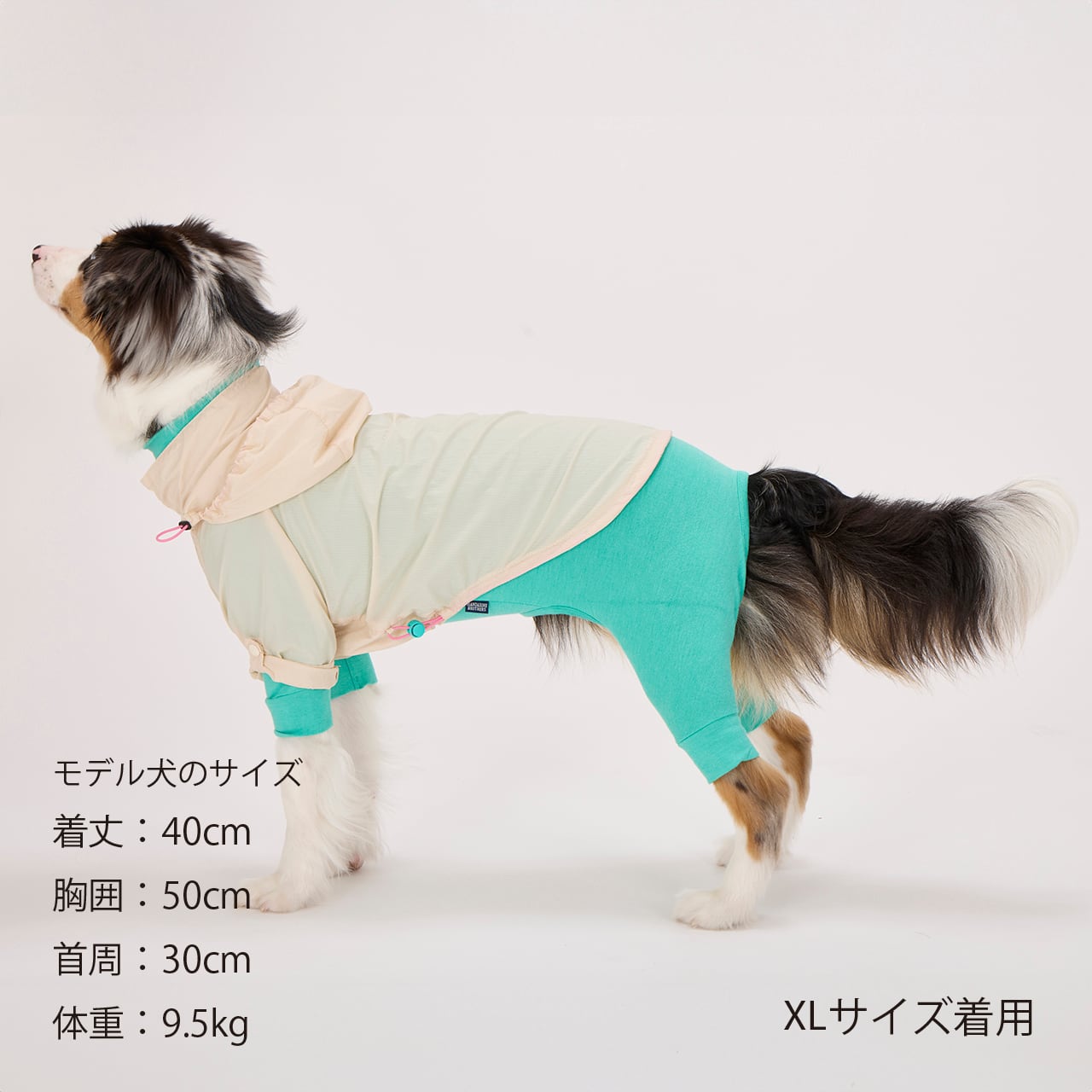 WINDBREAKER（XL.XXL） ウインドブレーカー | MANDARINE BROTHERS