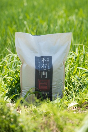定期便：【白米】5㎏　特別栽培米こしひかり「平右ェ門」