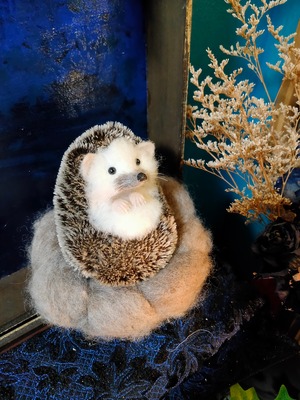 Curled Hedgehog ハリネズミさんウニポーズ(モヘア)