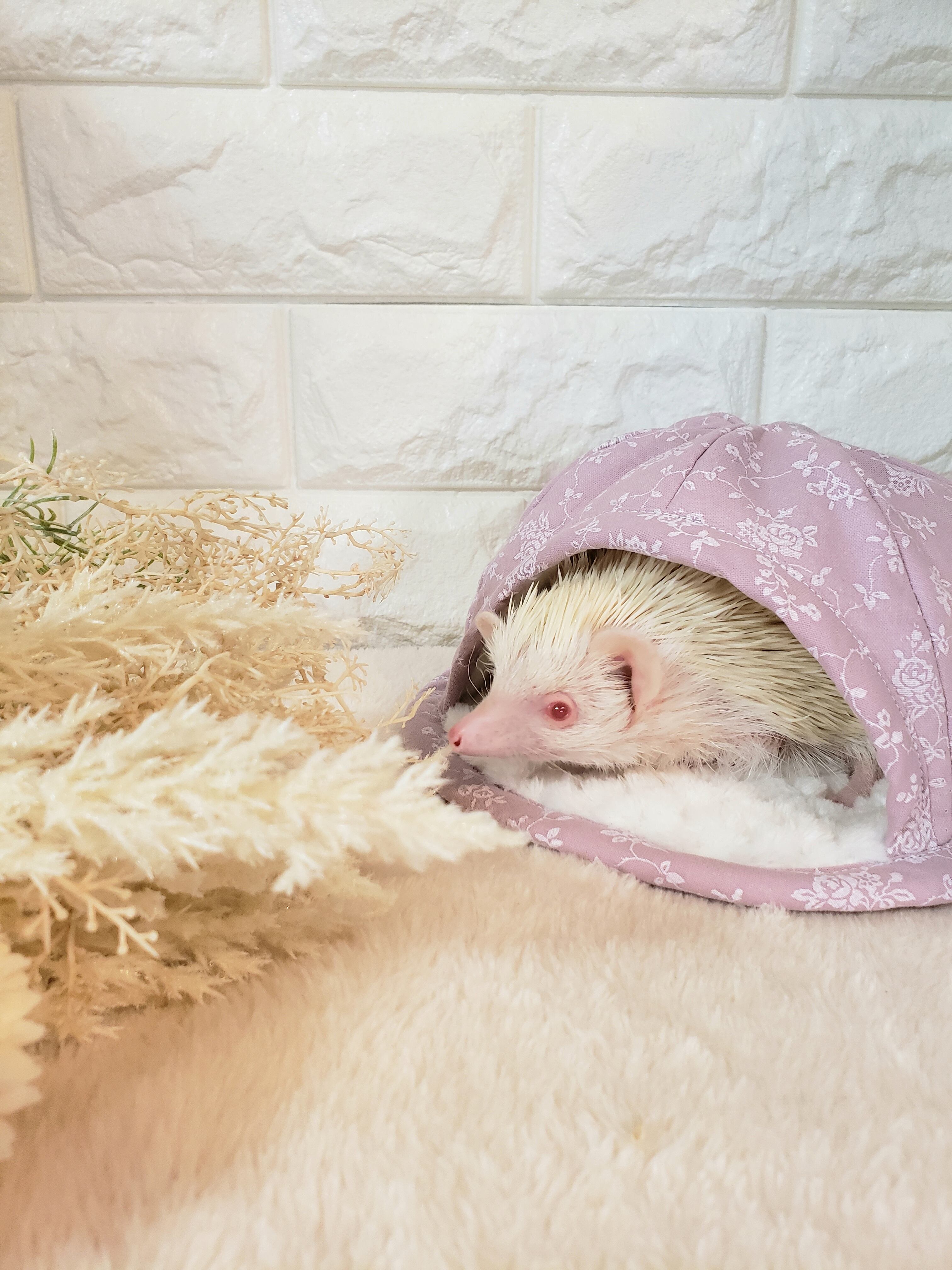 ハリネズミ寝袋  生地② ハリネズミ寝袋 生地② 【公式通販】