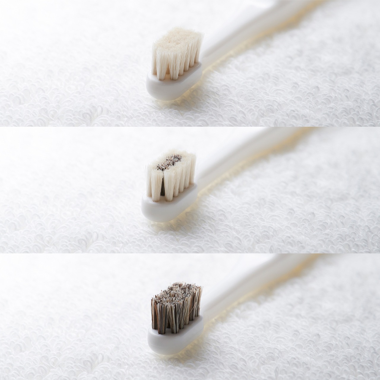 ミガケンデ 確かな心地植毛 ウマ 1本・画像4