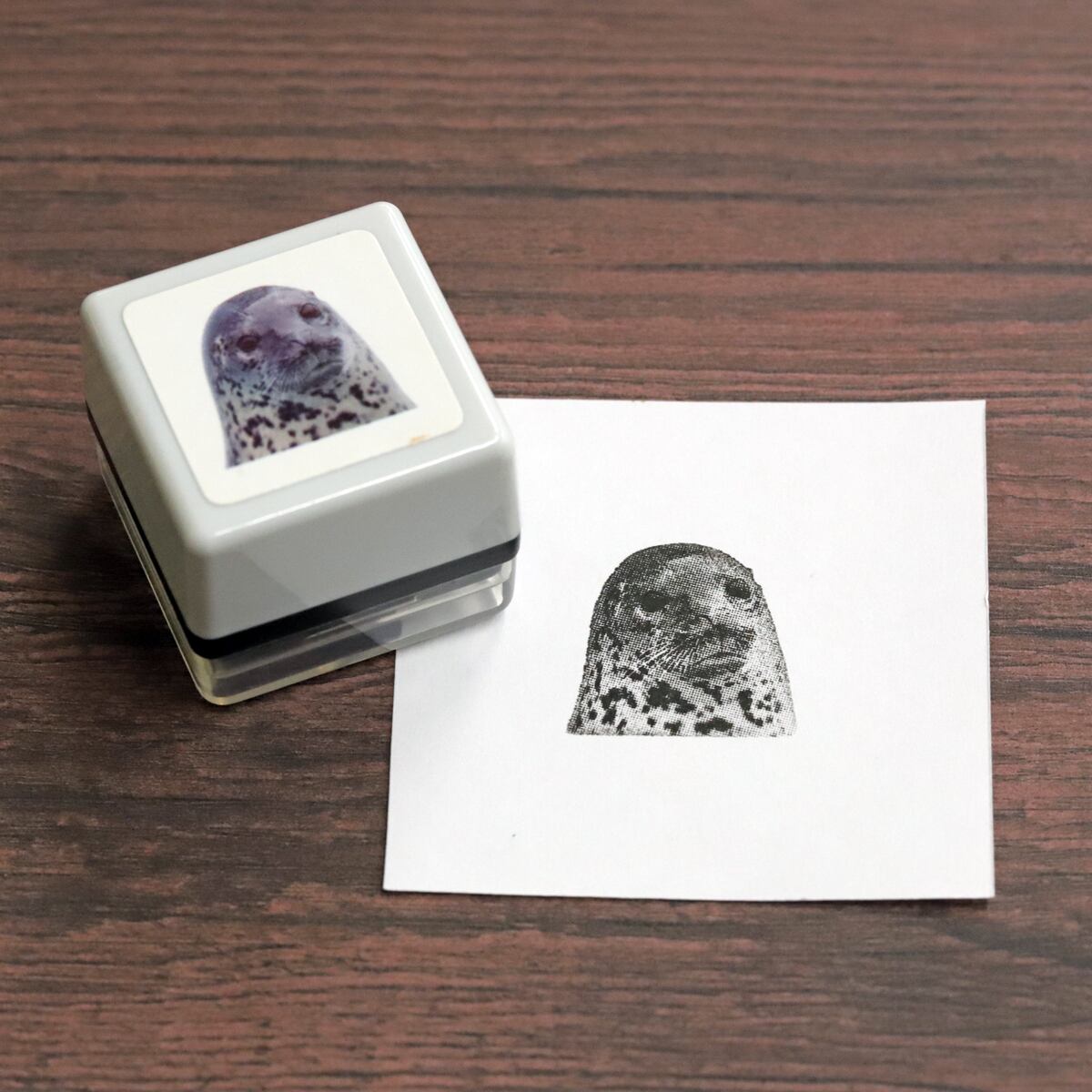 リアルふぉとスタンプ アザラシ RP-062 | 浸透印スタンプ Yamahachi Stamp