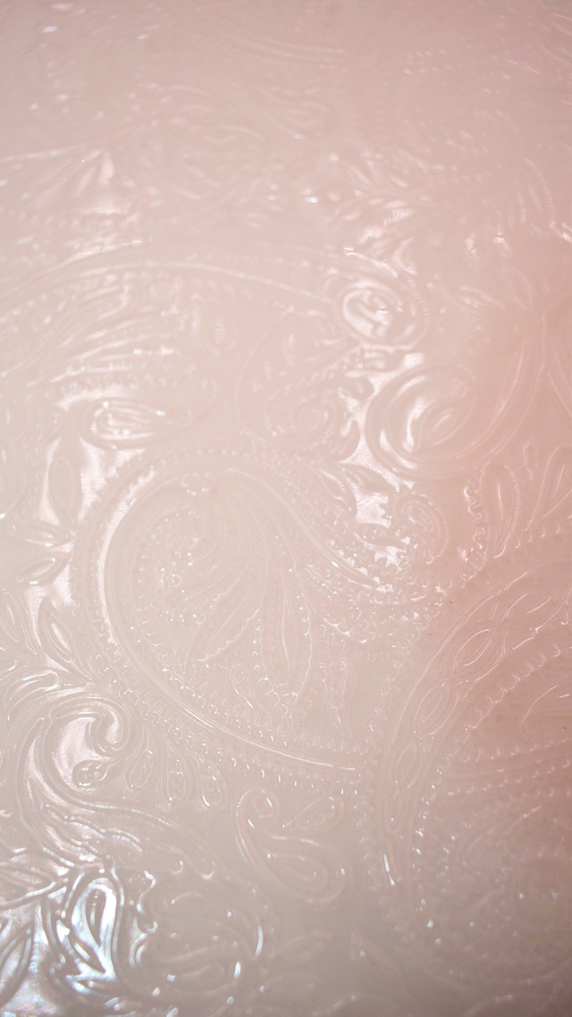 エンボス (ペイズリー柄) クリアケース 小物 透明 持ち運び (ミルク) カラビナ付 ポーチ 工房 手作り 日本製 エコパッケージ MX-0025-212