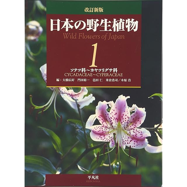 日本の野生植物 木本Ⅰ | PAY ID