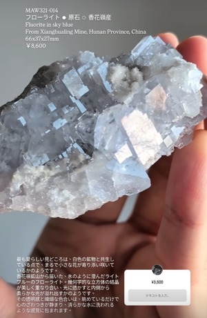 ⭔ お客様専用ページ ⭔ snowrisa様　