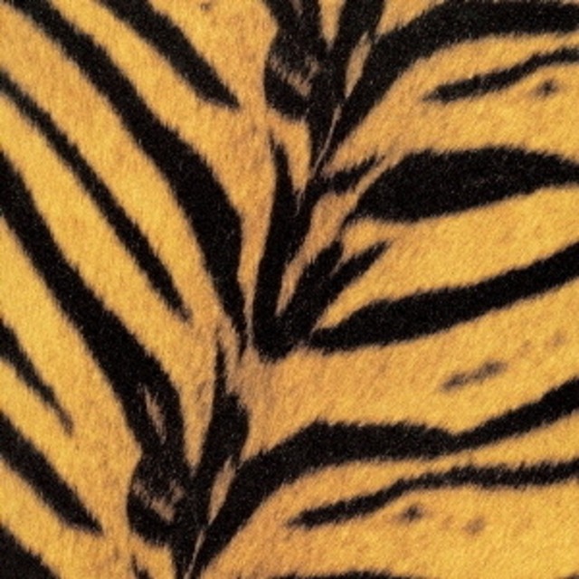 ジャケット絵柄クリアファイル付【限定盤】THE HIGH-LOWS「Tigermobile」アナログ盤（12インチ）