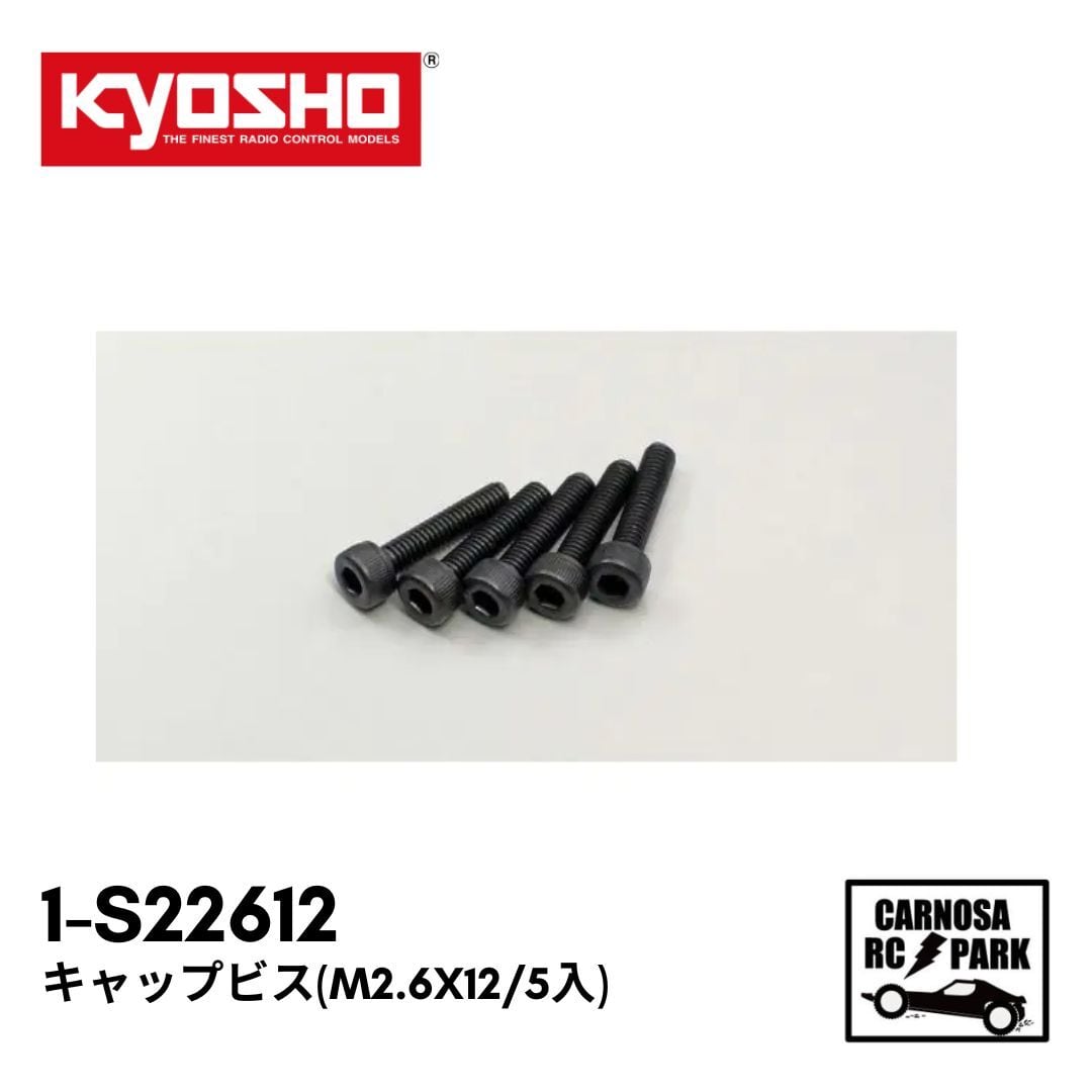 RCスキ者 421セット*1 予備ビス*1、mmxセット*1 予備ビス*1 ネジ | CARNOSA RC SHOP